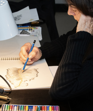 The Morton Arboretum