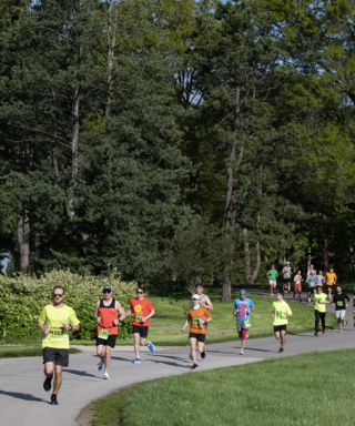 The Morton Arboretum