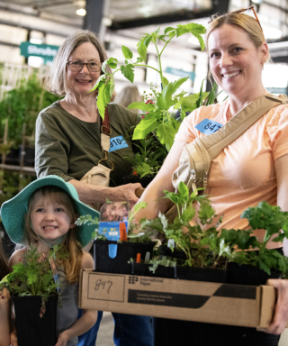 The Morton Arboretum
