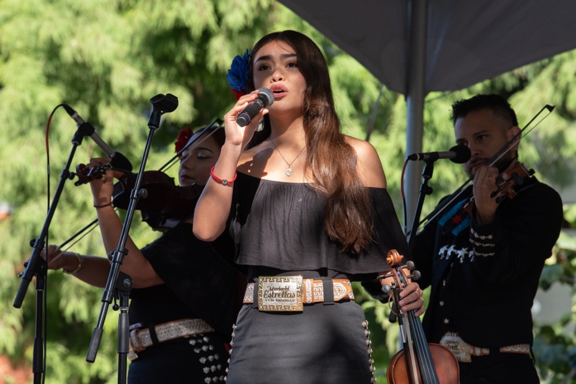 The Morton Arboretum