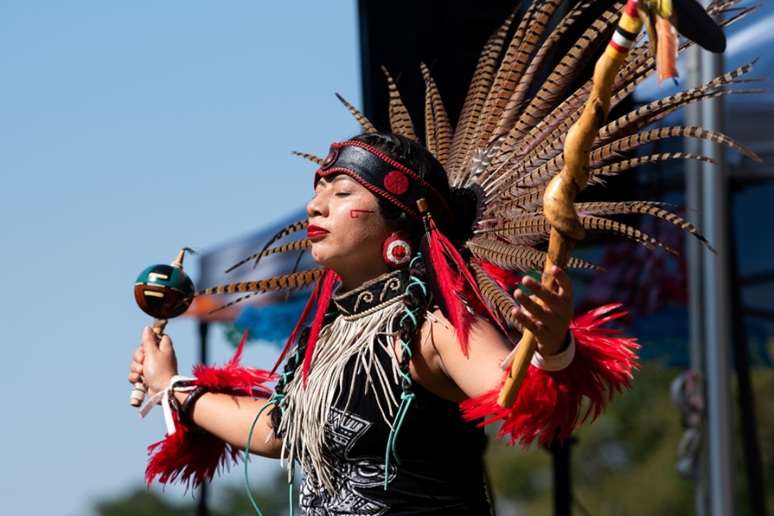 The Morton Arboretum