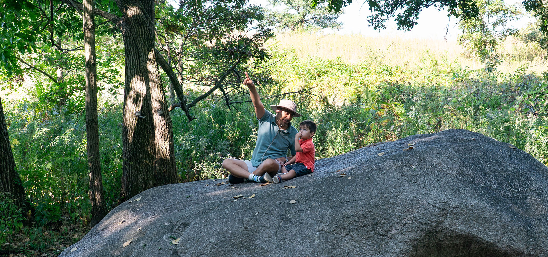 Photograph of a father and son pointing at trees at The Morton Arboretum