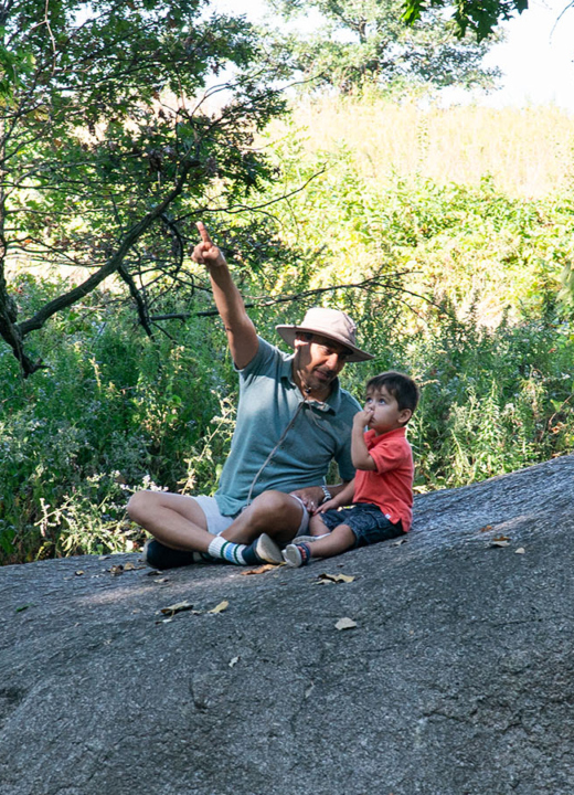 The Morton Arboretum