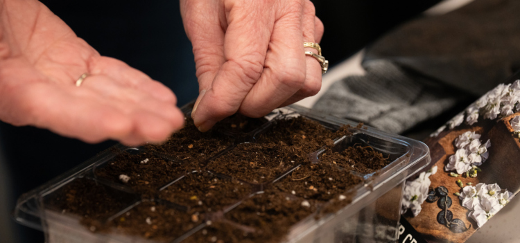 A woman sows seeds as she gets ready for her spring garden.