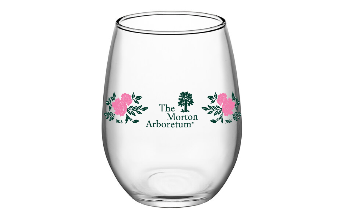 Wine glass for the spring wine tasting event