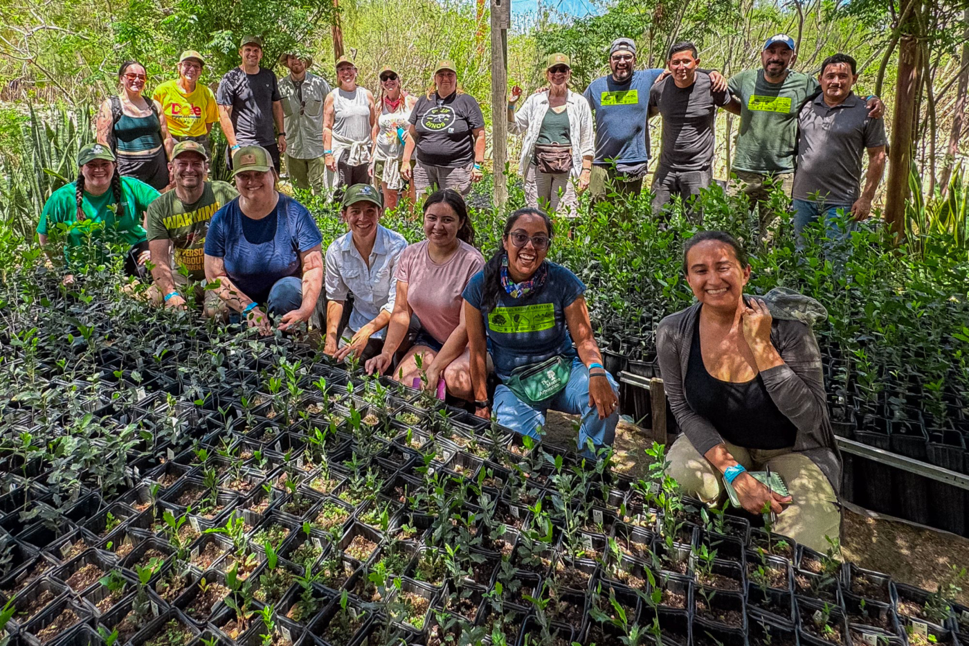Photograph of Chicago area teachers with local oak propagation workers