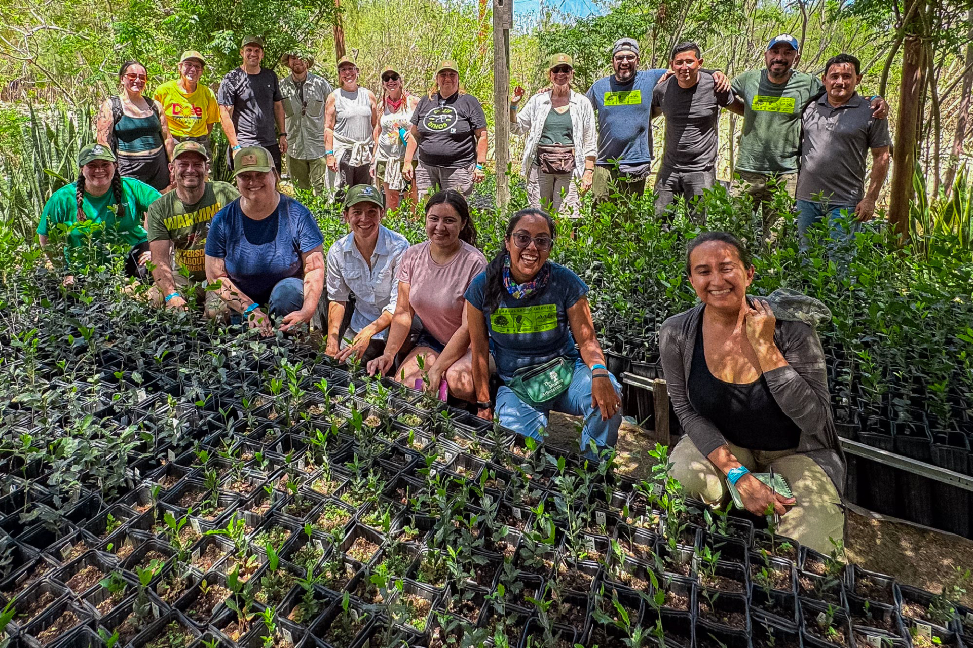 Photograph of Chicago area teachers with local oak propagation workers