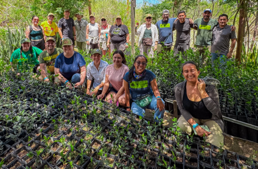 Photograph of Chicago area teachers with local oak propagation workers