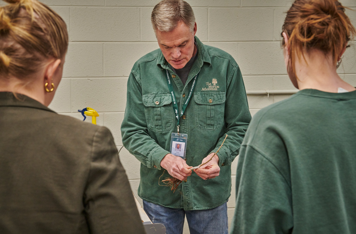 A staff person demonstrates how to propagate a tree