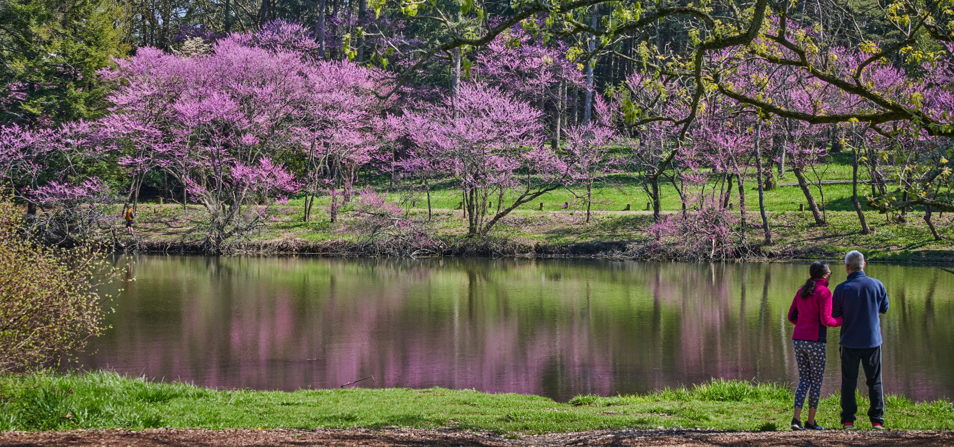 The Morton Arboretum