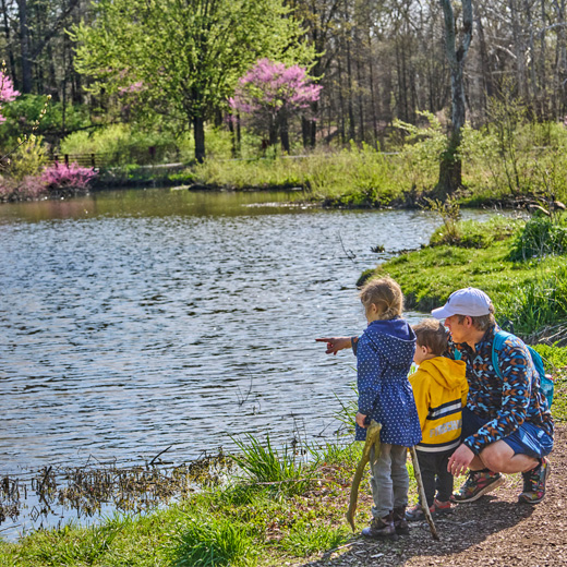 A family looks at the water of Lake Marmo surrounded by Redbud blooms