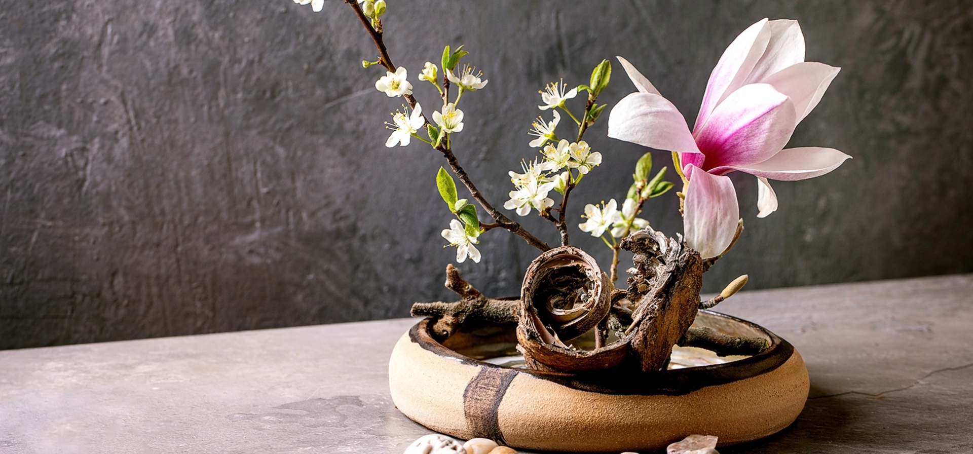 Spring ikebana. Floral composition with spring blooming magnolia and plum branch flowers in brown ceramic bowl, bark and stones around, standing on grey table. Japanese style home decor
