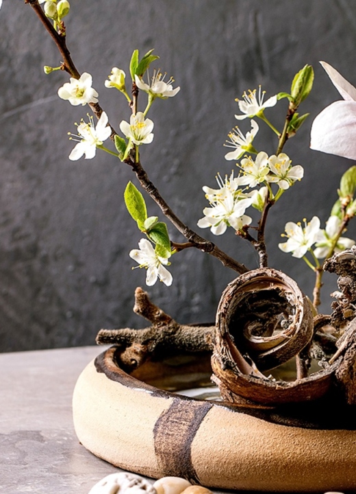 Spring ikebana. Floral composition with spring blooming magnolia and plum branch flowers in brown ceramic bowl, bark and stones around, standing on grey table. Japanese style home decor