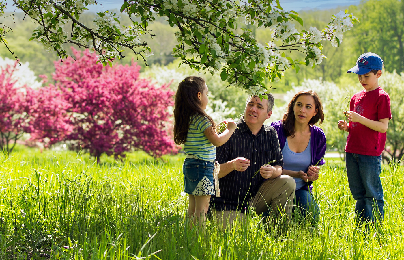 A family gathers under crabapple blooms in spring