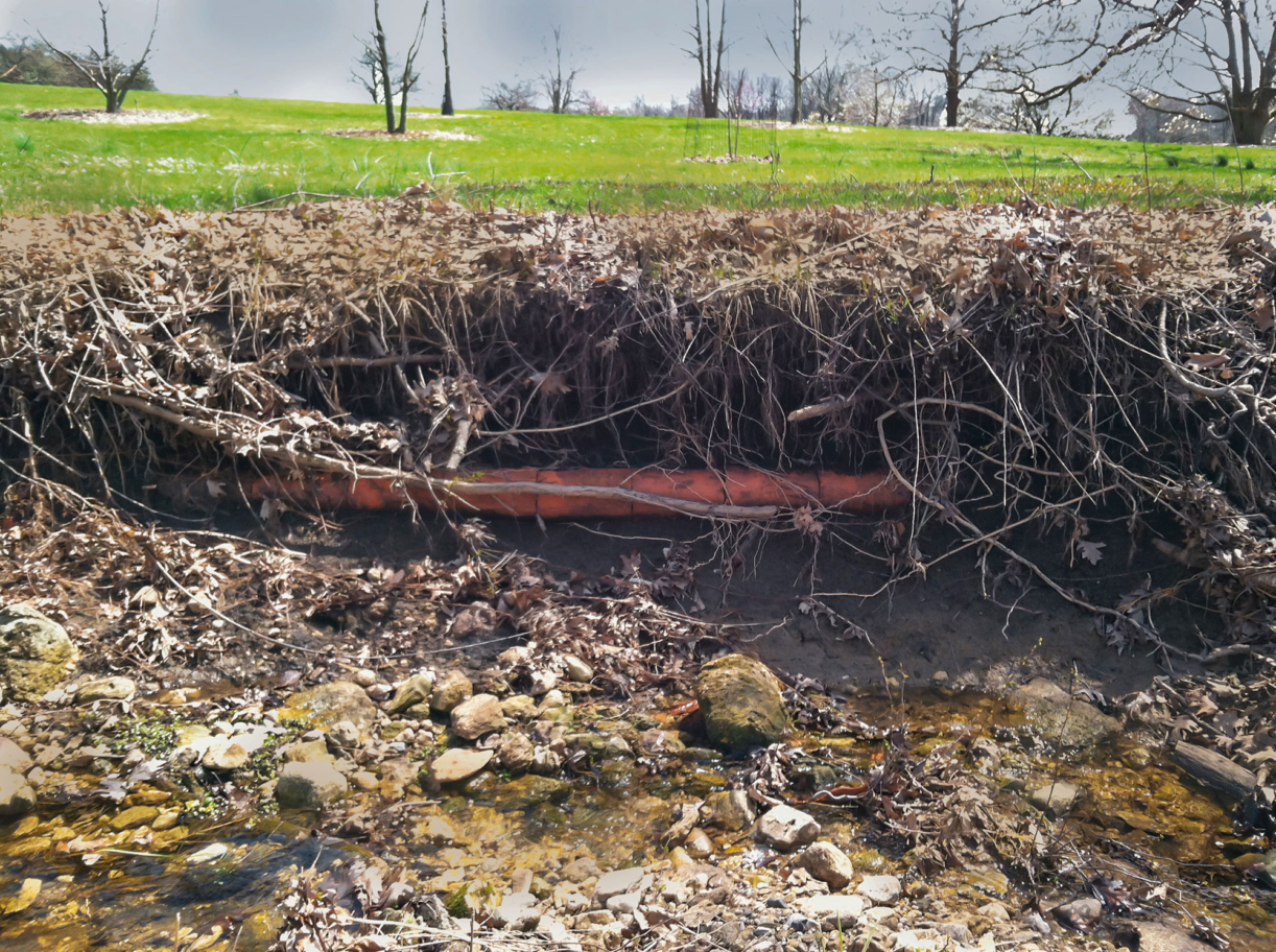 A drain tile being removed to restore natural water in areas of the Arboretum