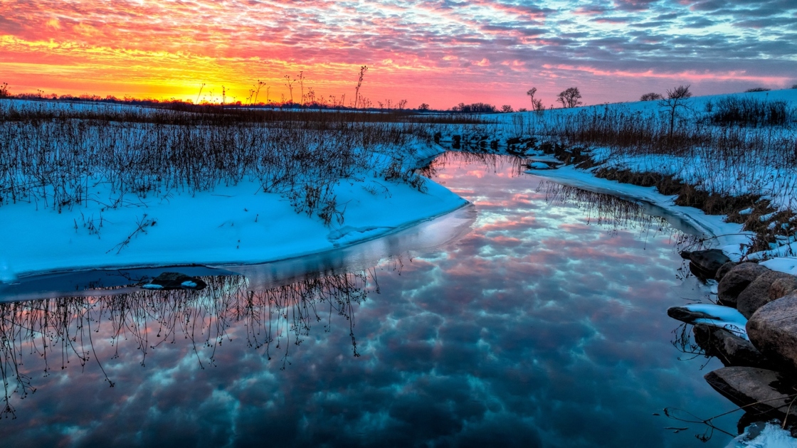 The Morton Arboretum