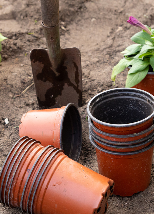 Photograph of empty plant pots used in a garden