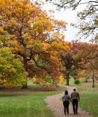 Image of a couple walking on a woodchipped trail in the fall at The Morton Arboretum