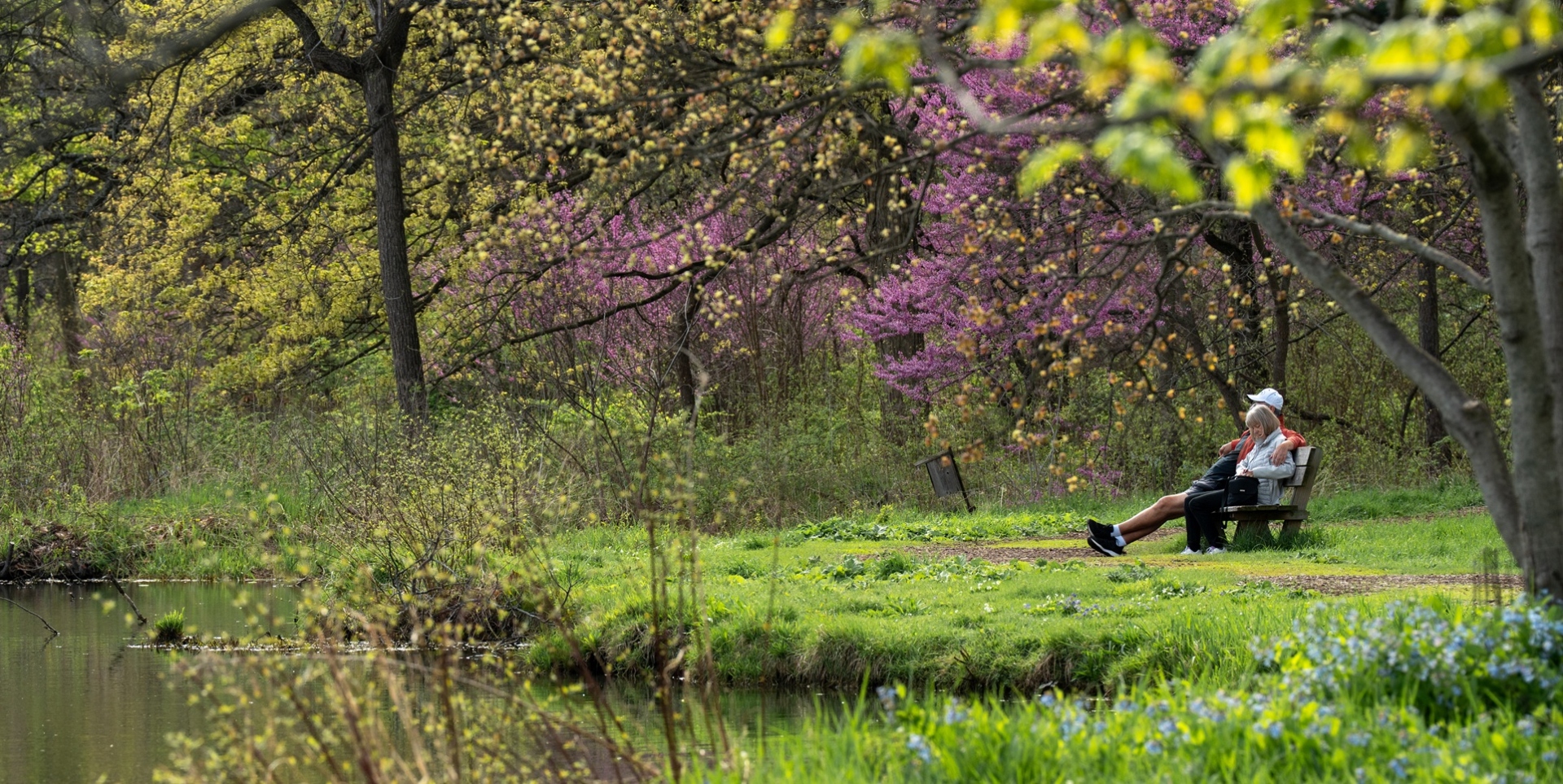 The Morton Arboretum