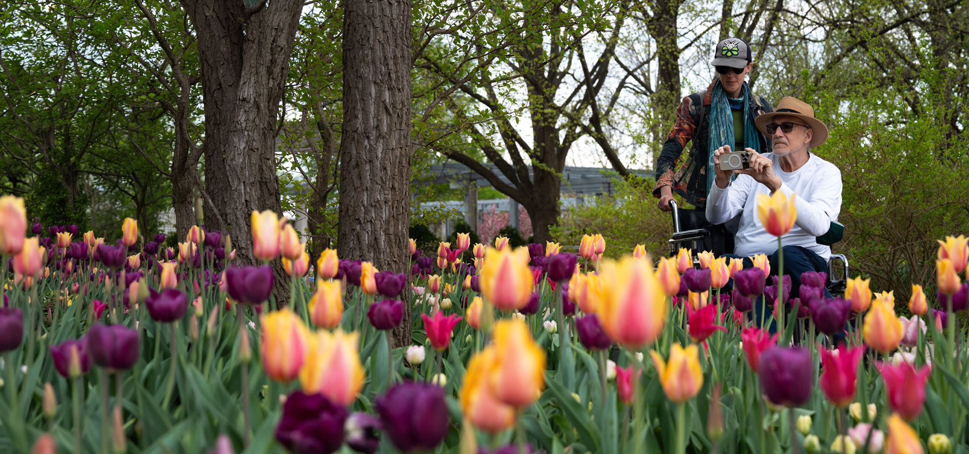 A family admires the colorful tulips in spring