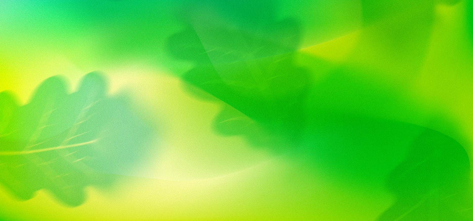 Graphic of oak leaves blurred in abstraction