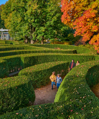 Photograph of children and parents walking through the Maze Garden at The Morton Arboretum with fall colors in the trees above