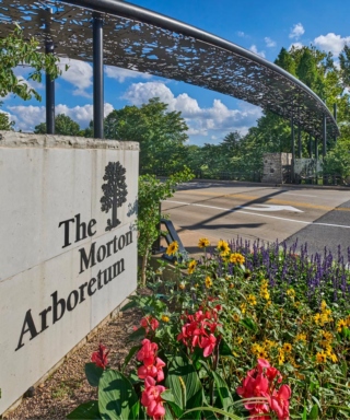 Photograph of the entrance sign to The Morton Arboretum from the road of IL Route 53