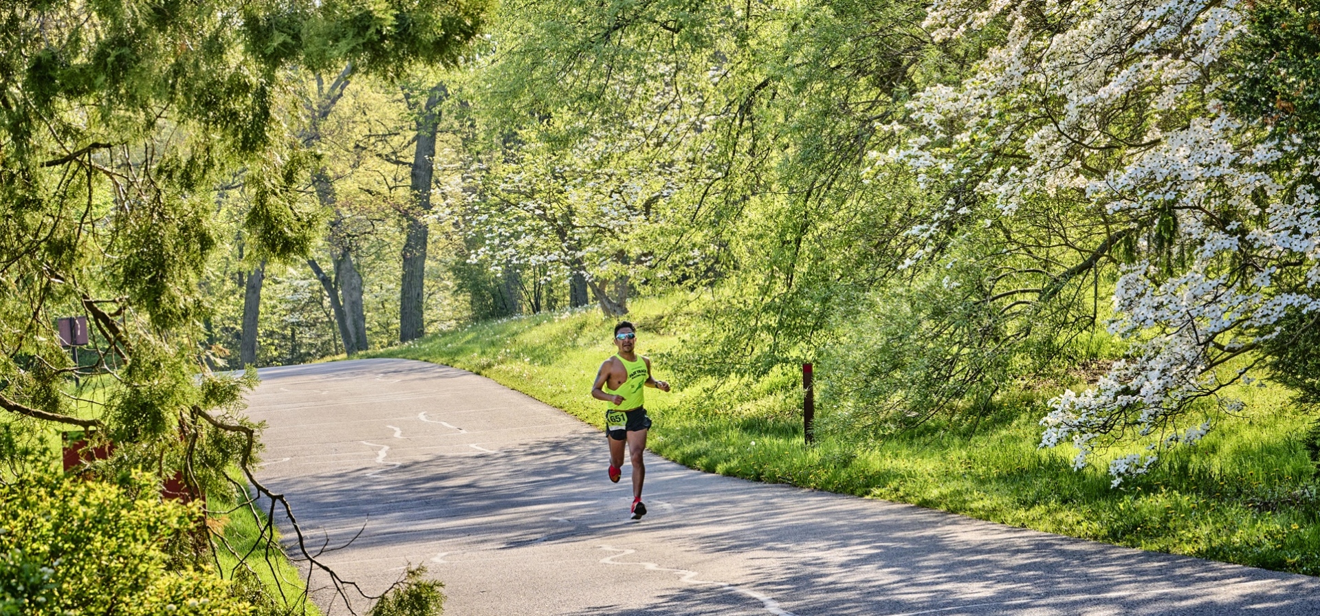 The Morton Arboretum