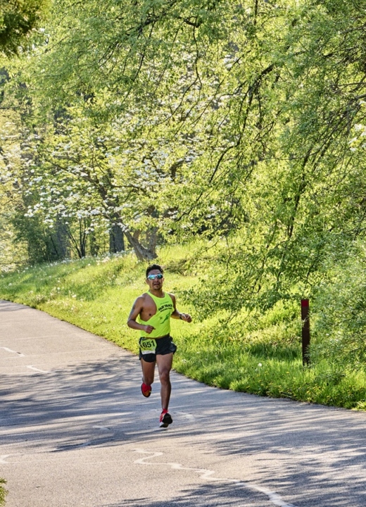 The Morton Arboretum