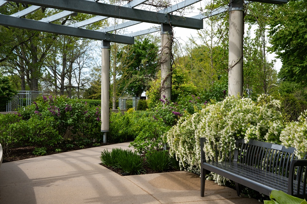 The Morton Arboretum