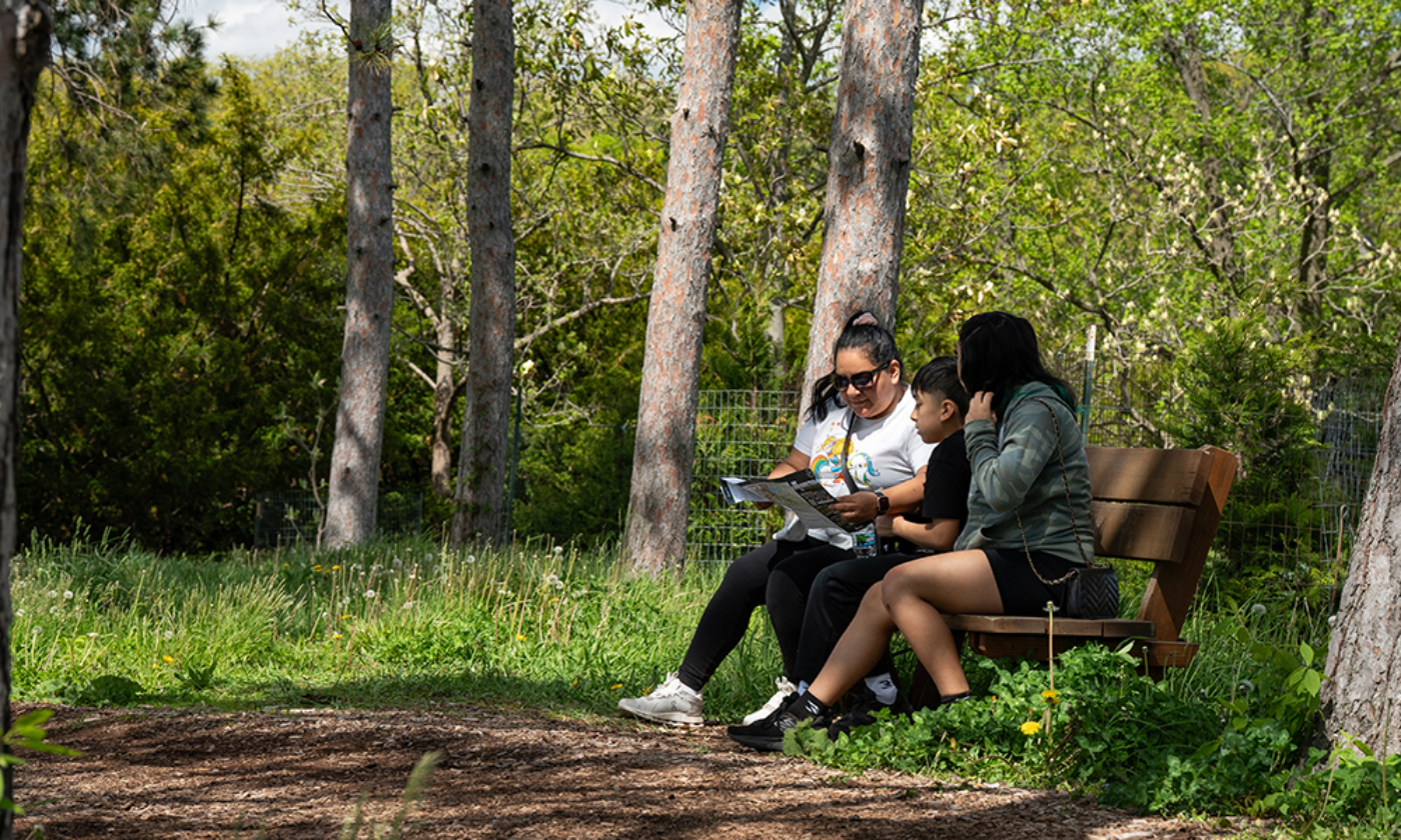 The Morton Arboretum