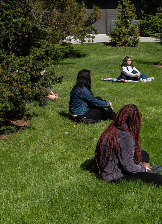 Photograph of people seated on the grass at The Morton Arboretum
