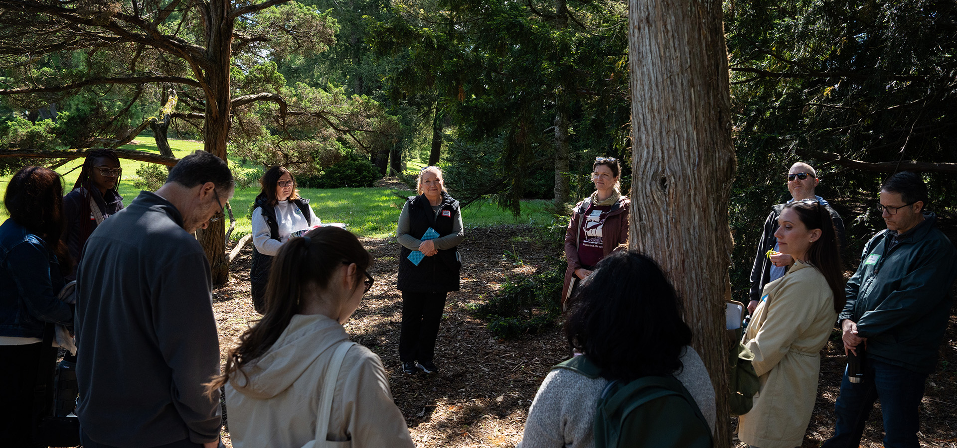 The Morton Arboretum