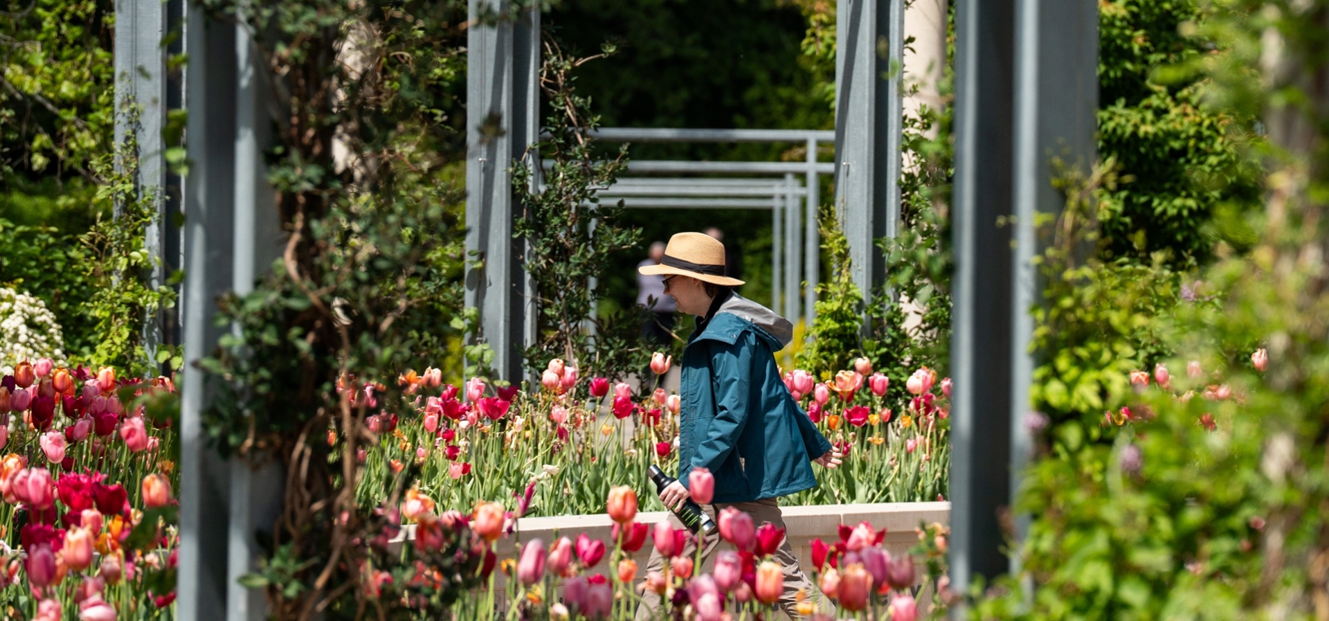 The Morton Arboretum