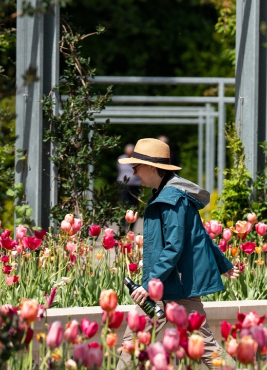 The Morton Arboretum
