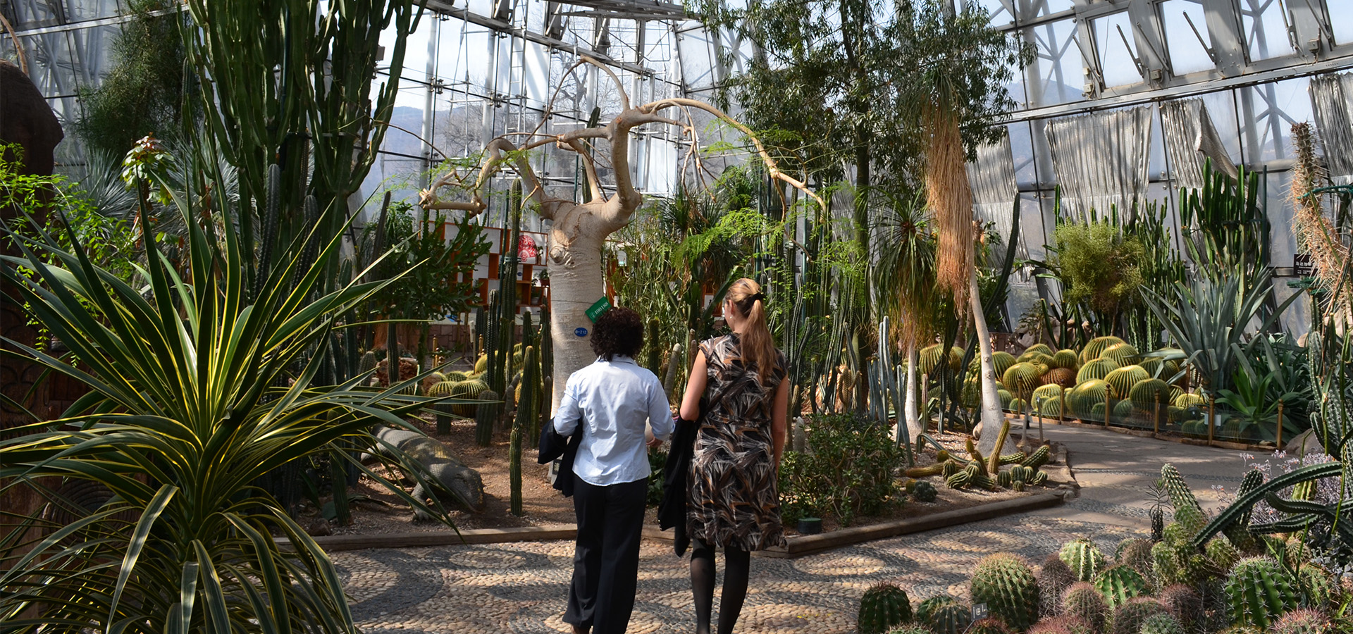 Photograph of two women standing in a conservatory