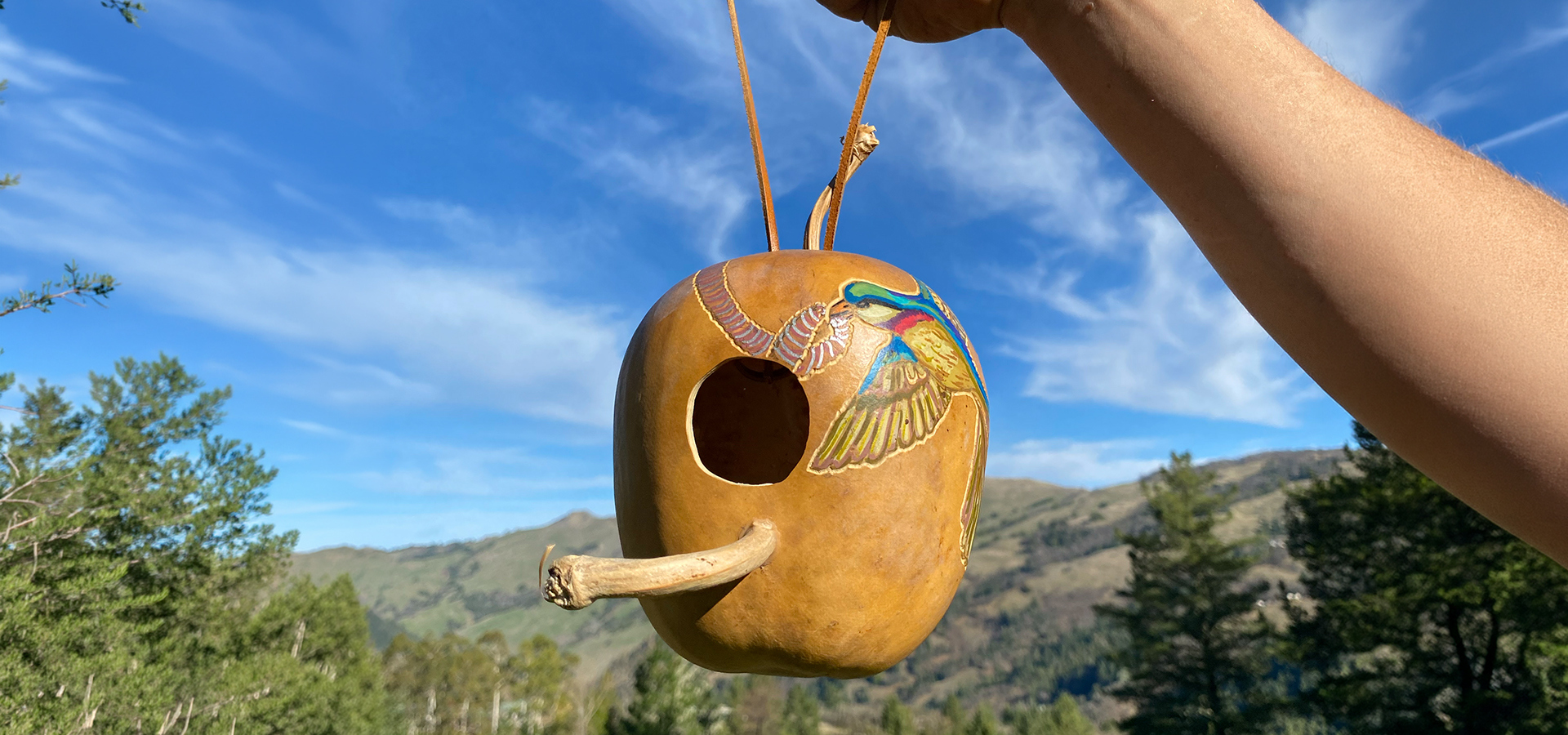 Photograph of a birdhouse made from a gourd