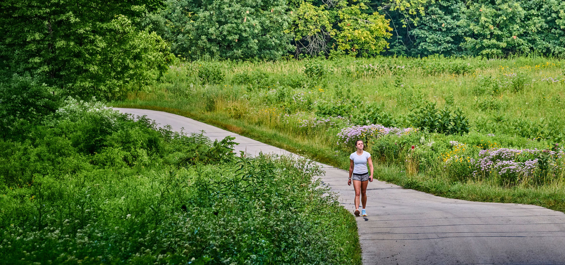 The Morton Arboretum