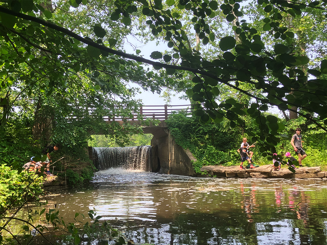 Photograph of children playing near a stream at The Morton Arboretum