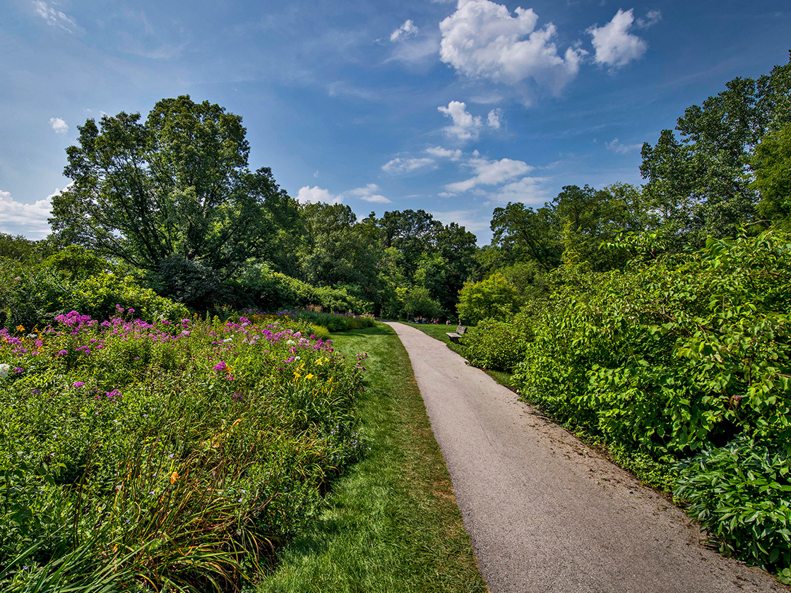 Photograph of Joy Path, a paved trail on the West Side of The Morton Arboretum