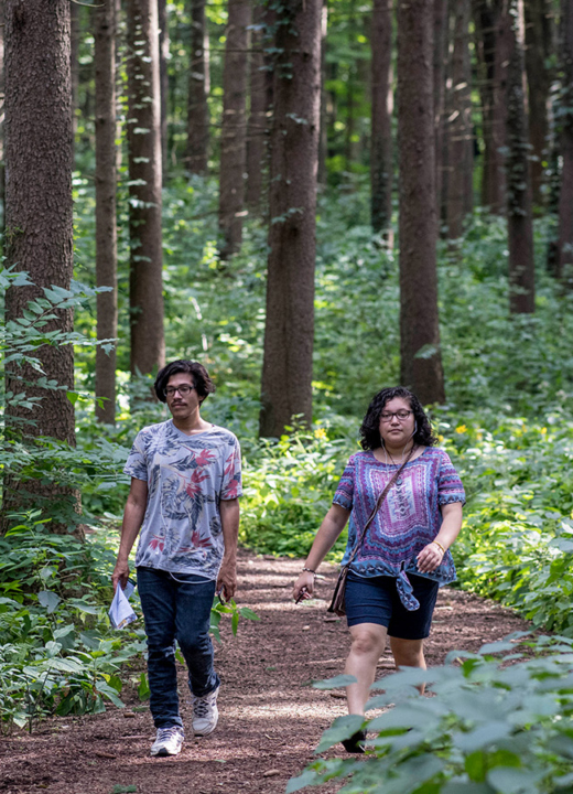 Photograph of two hikers walking through a woodchipped trail at The Morton Arboretum