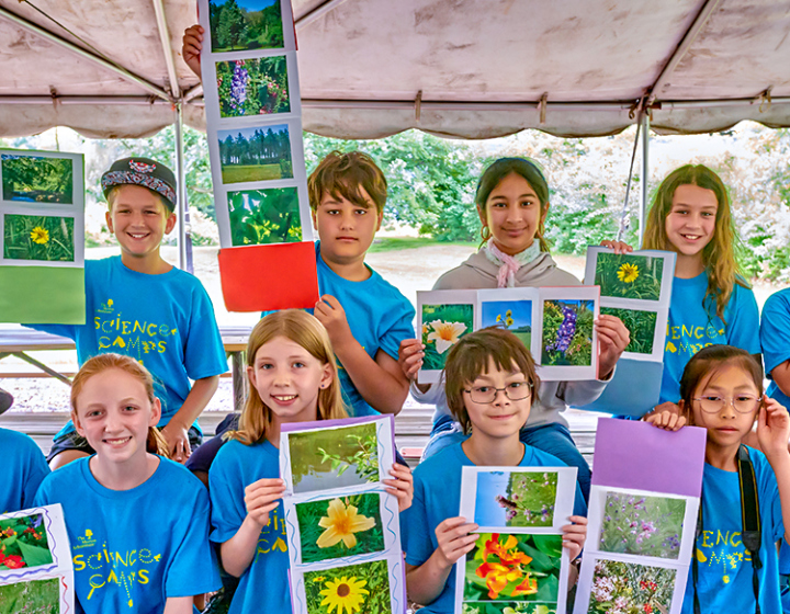 The Morton Arboretum