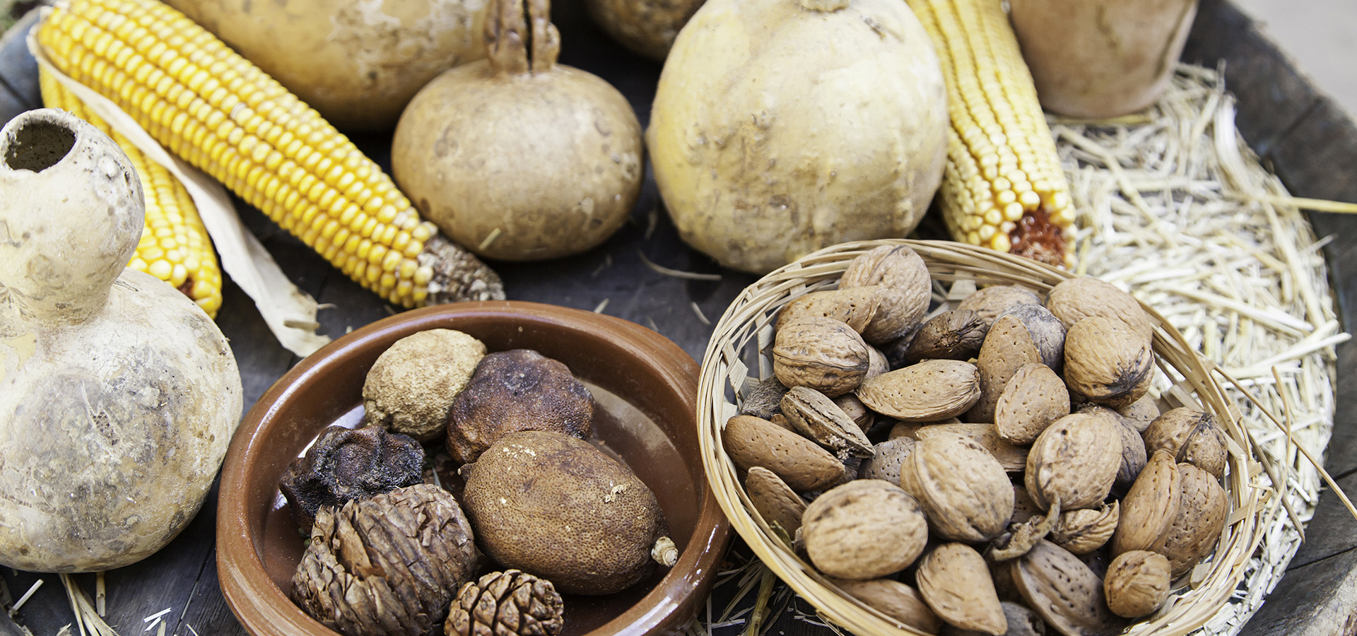 Photo of various native plants and their nuts and seeds