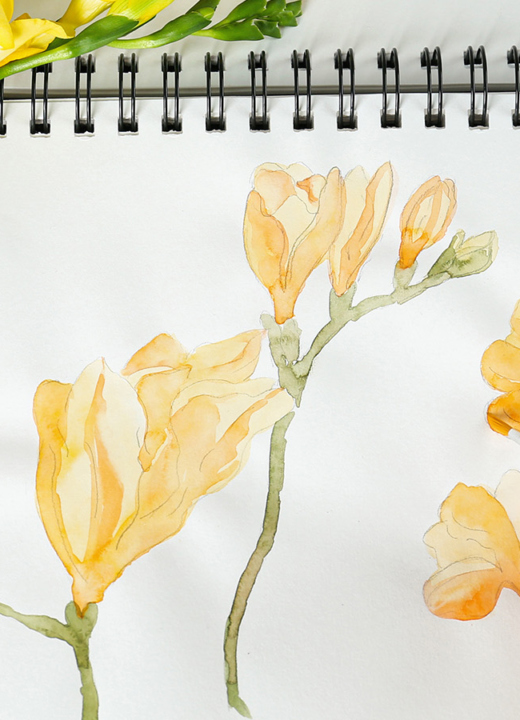 Photo of an artists hands drawing and watercoloring a picture of orange flowers