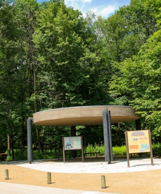 The Morton Arboretum
