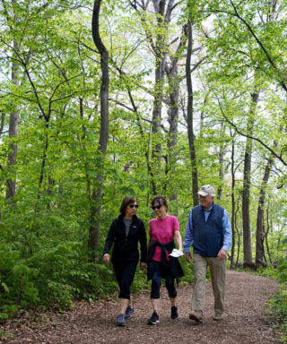 The Morton Arboretum