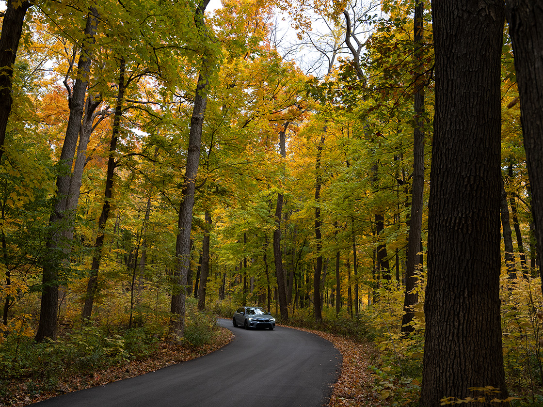 The Morton Arboretum