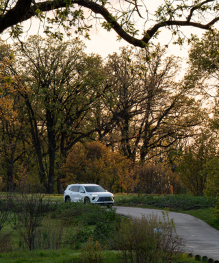 The Morton Arboretum