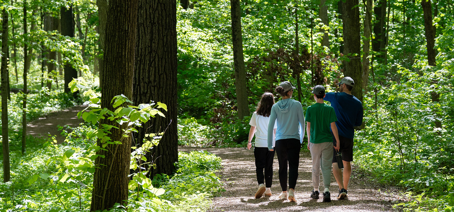 The Morton Arboretum