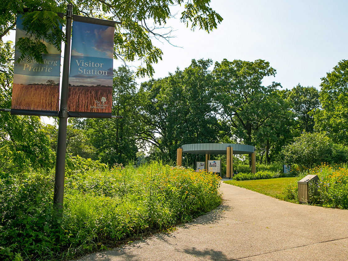 The Morton Arboretum